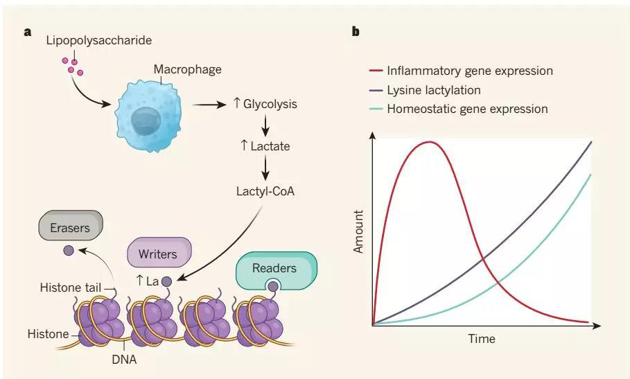 1572400313433816hQJC.jpg 7.jpg