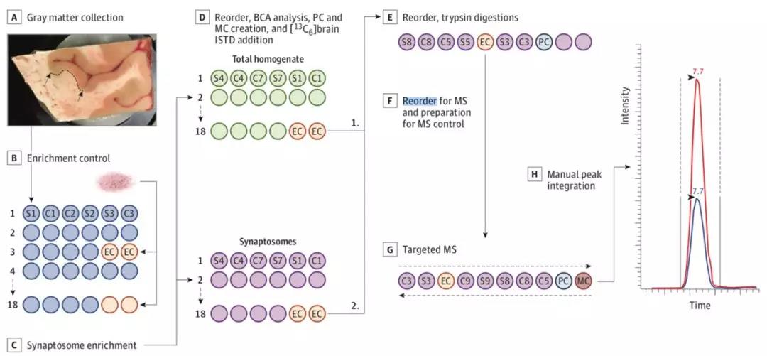 1573019892975420XOZk.jpg 2.jpg