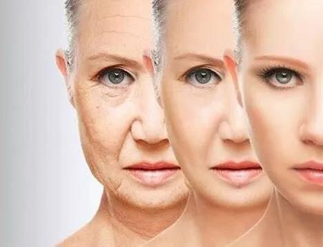 1573020176789388vShH.jpg 1.jpg