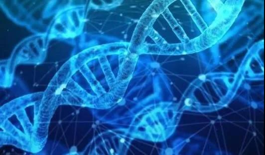 1573020183682213IfBE.jpg 2.jpg