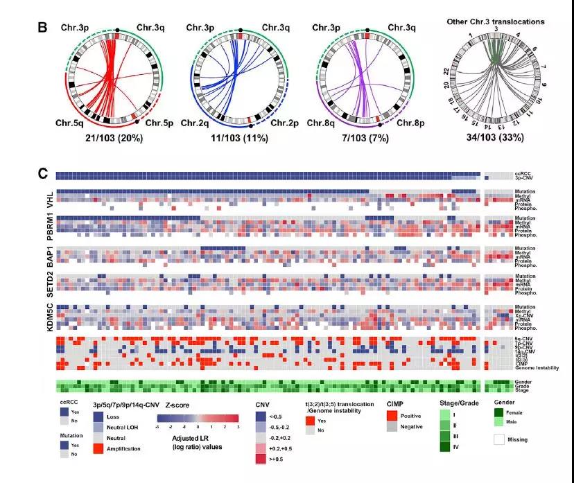 15736085935606306LHb.jpg 3.jpg