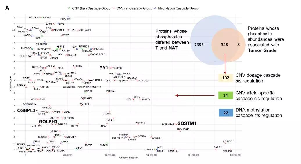 1573608606430401B5To.jpg 4.jpg