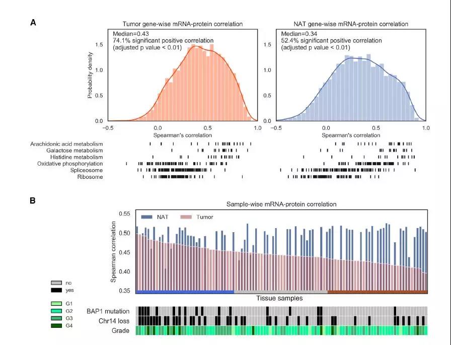 1573608611504798RfPZ.jpg 5.jpg