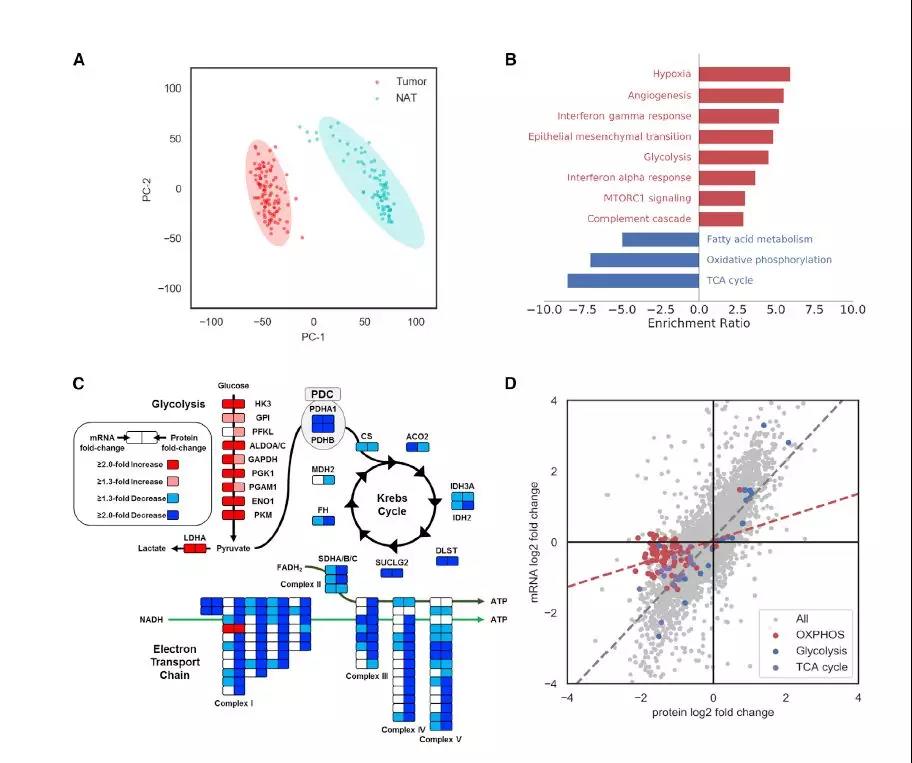 15736086179772756sF8.jpg 6.jpg