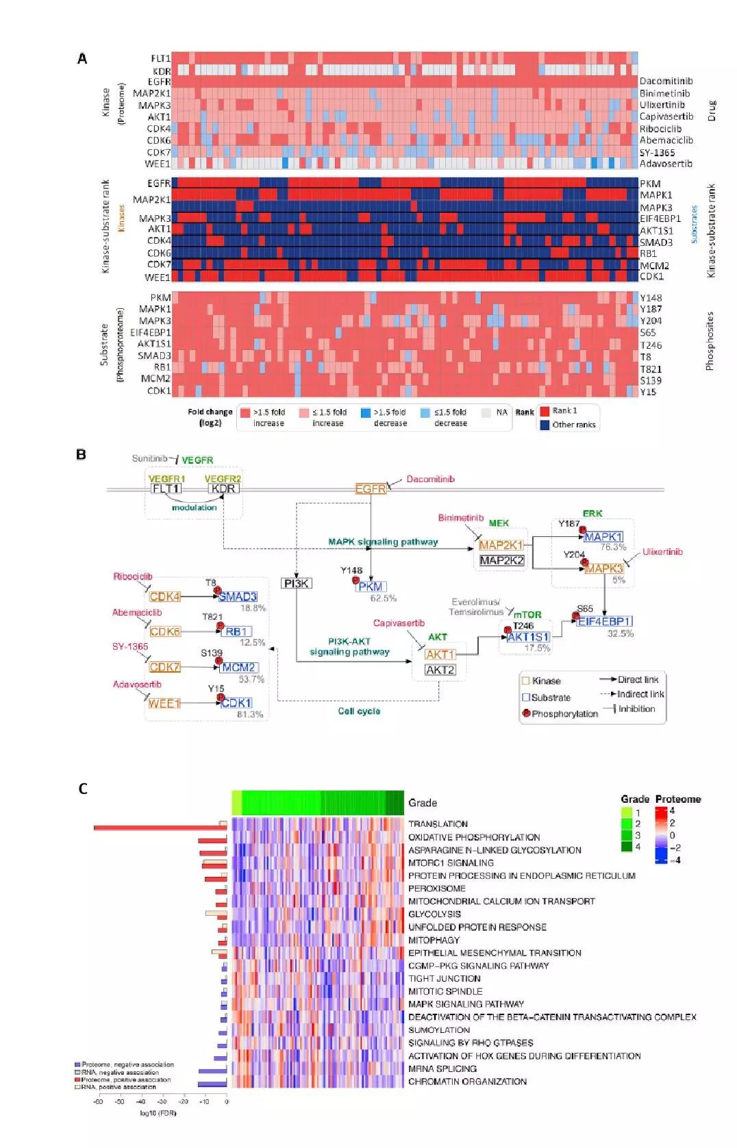 1573608623456855JJbe.jpg 7.jpg