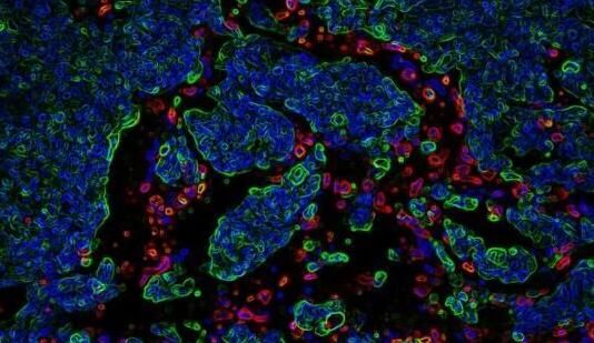 1575421616353219MpJt.jpg 1.jpg