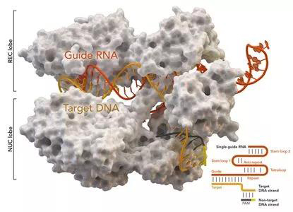 1575421855575024xlhP.jpg 1.jpg