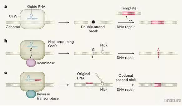 157542186986078441pL.jpg 3.jpg