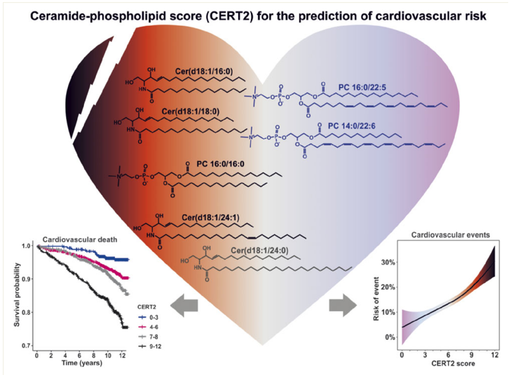 1586308998345174d49c.png 2.png