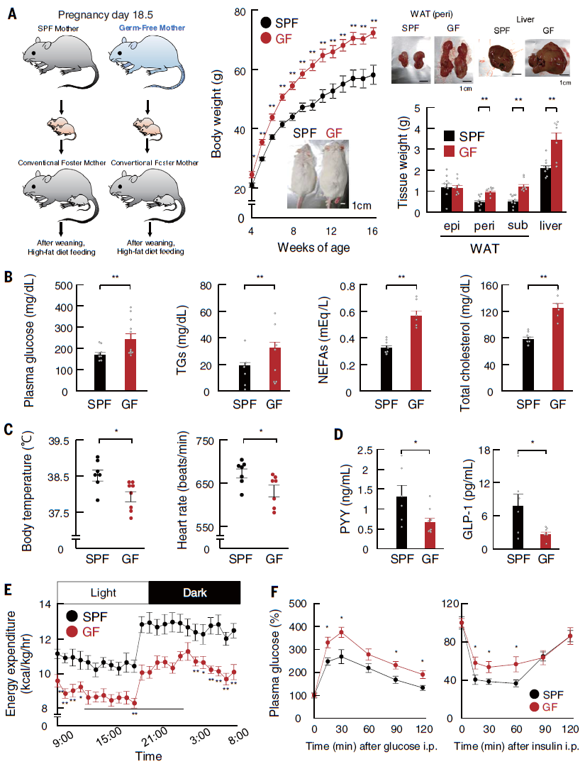 1588986371313382Lwl5.png 2.png