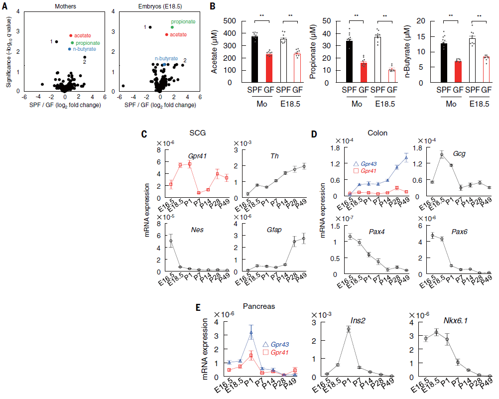 1588986383775331UyBw.png 3.png