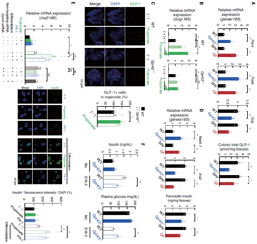 1588986426376962h8cy.png 5.png