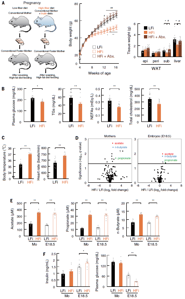 158898647071185022n9.png 6.png