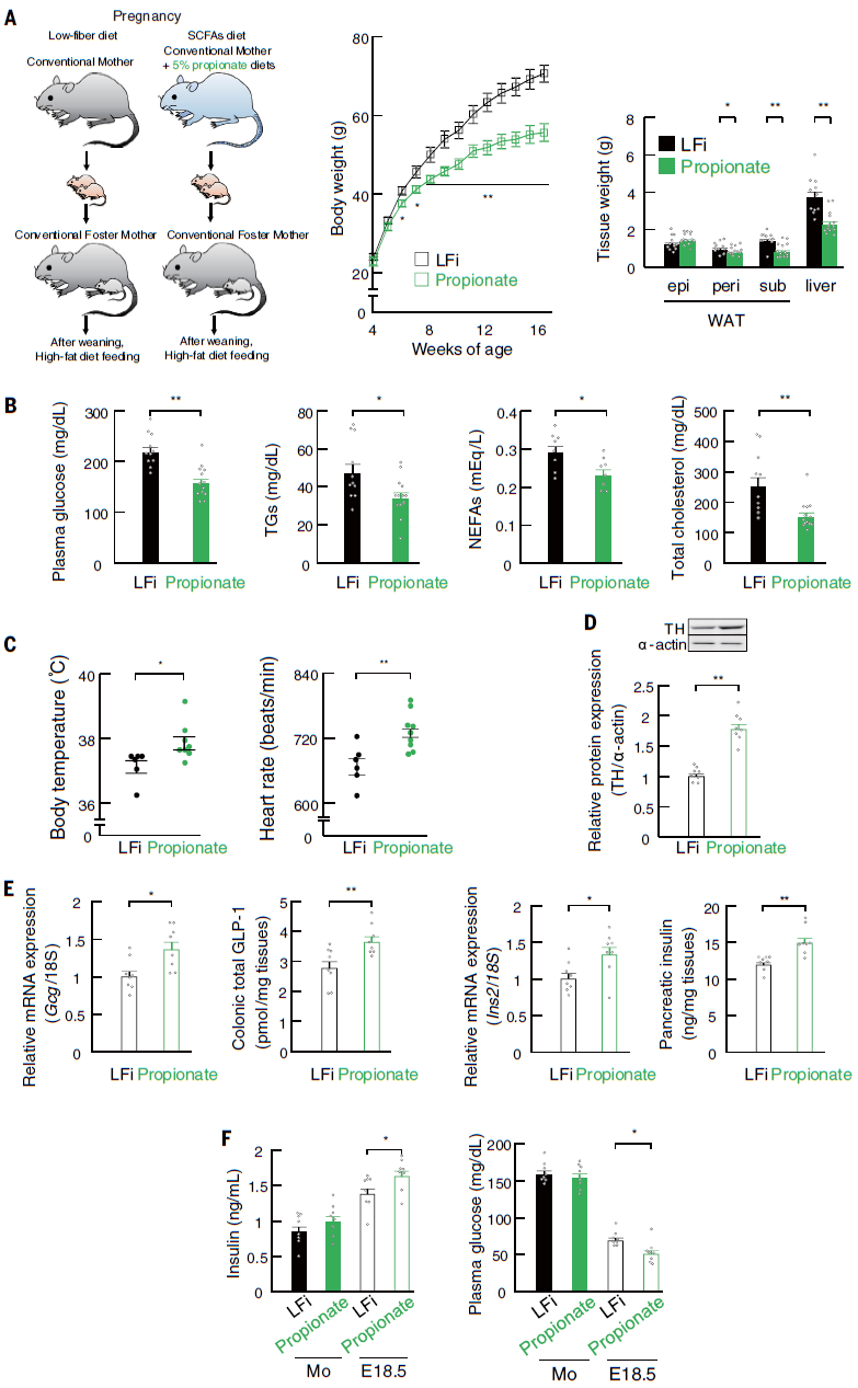 1588986504264177Fyz1.png 7.png