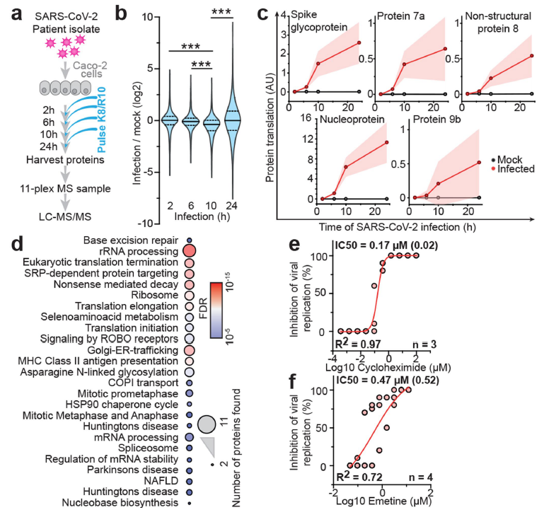 1590022785779625IKow.png 3.png