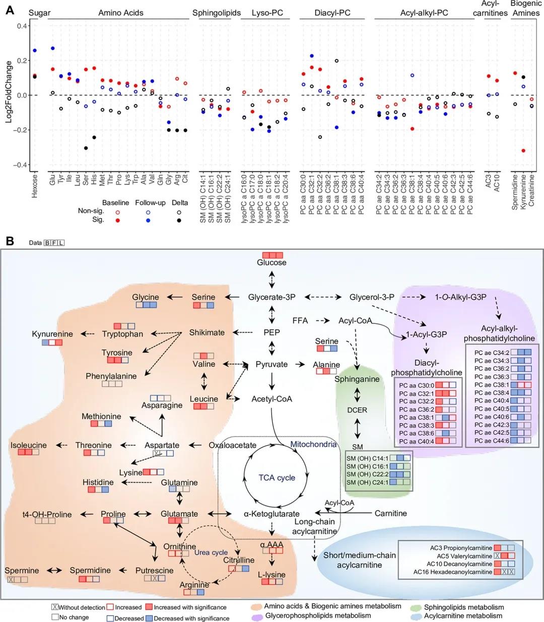 15954702112060795IP2.jpg 6.jpg