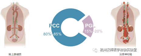 1597885812337136I4MO.png 8.png